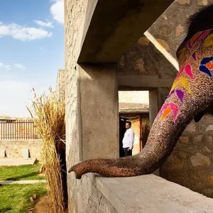 Elephant Village(Hathi Gaon)Tour